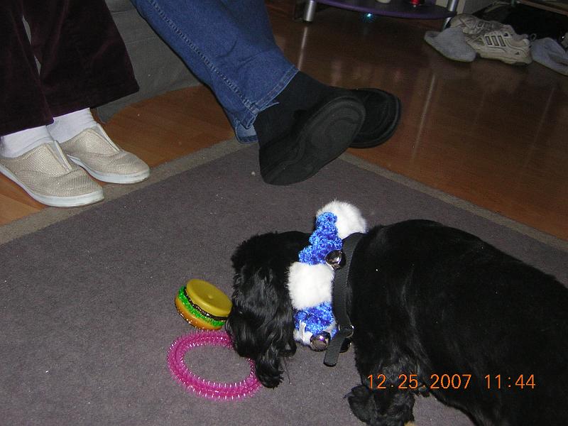 19 Bailey got gifts too.JPG